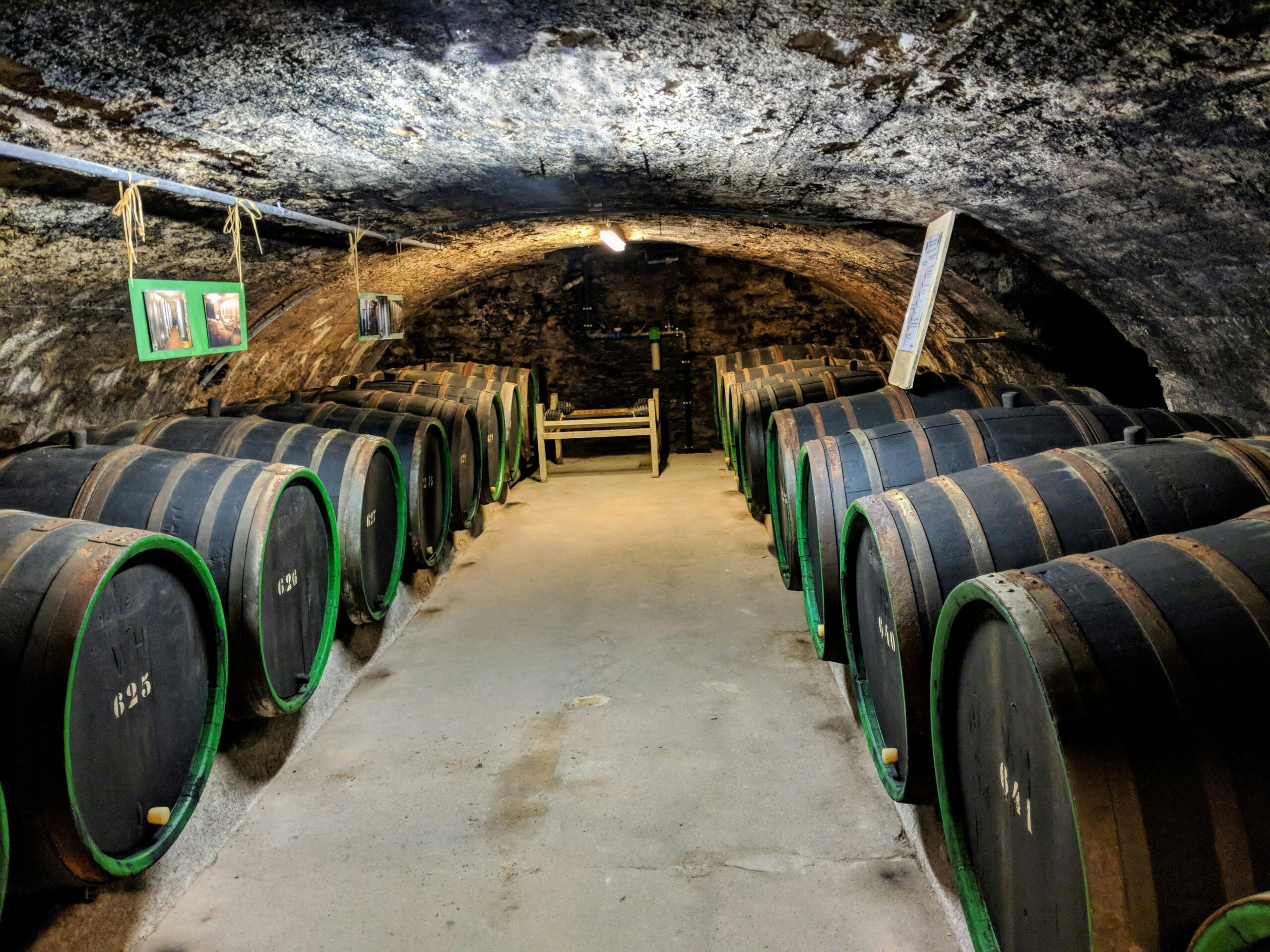 terroir consulting consultoria bodegas 15 scaled.jpg